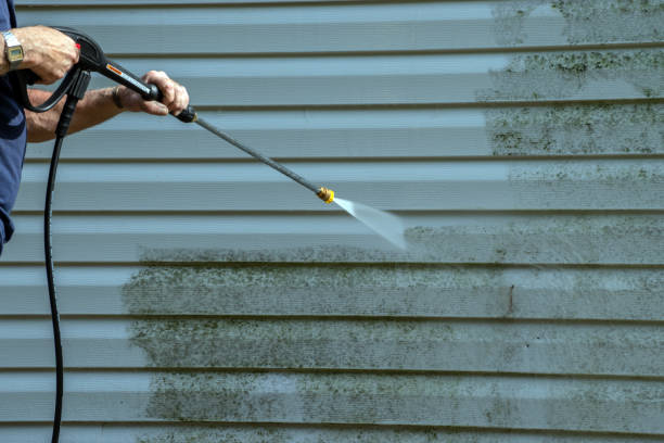 Best Exterior Home Cleaning  in Wheat Ridge, CO