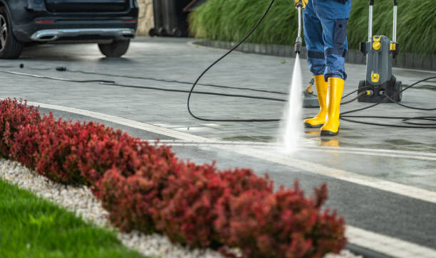 Best Concrete Pressure Washing  in Wheat Ridge, CO
