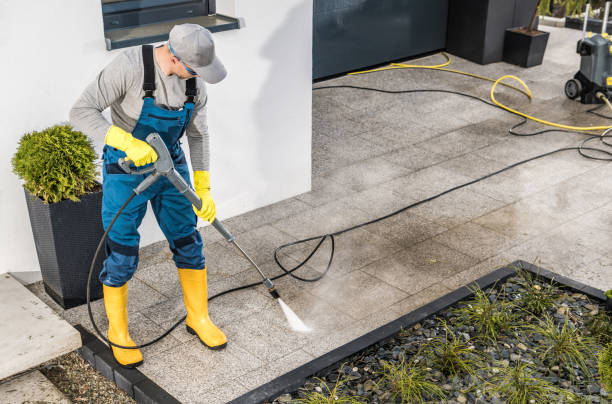 Best Best Pressure Washing Companies  in Wheat Ridge, CO